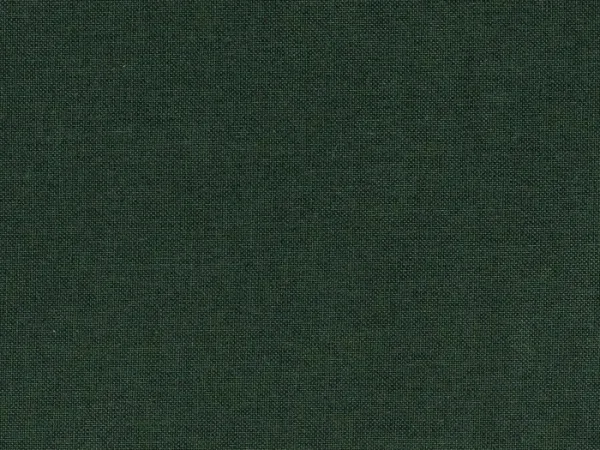 BRI4186-DUNKELGRUN