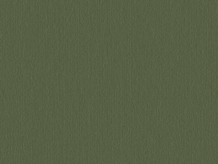 CIB8557 flat plane.jpg.700x525 q80 autocrop crop smart zoom 100 1