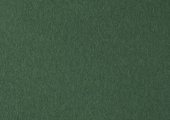 COLORPLAN-FOREST-2-25-5548