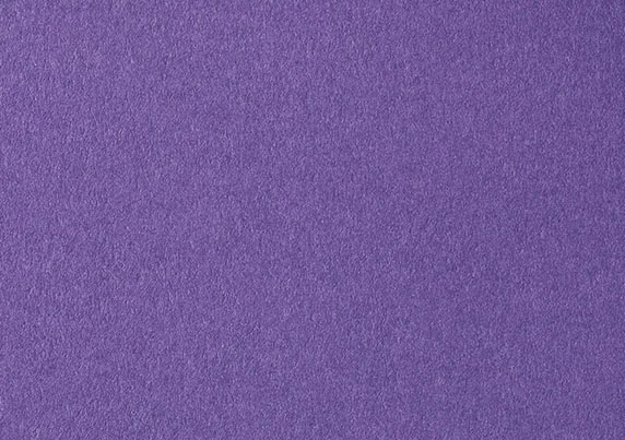 COLORPLAN-PURPLE-2-25-5558