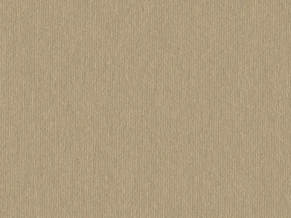 CSE4502-WHITE-GOLD