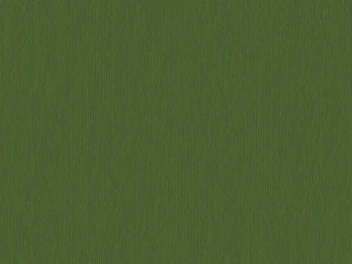 CSP818 flat plane.jpg.700x525 q80 autocrop crop smart zoom 100 1