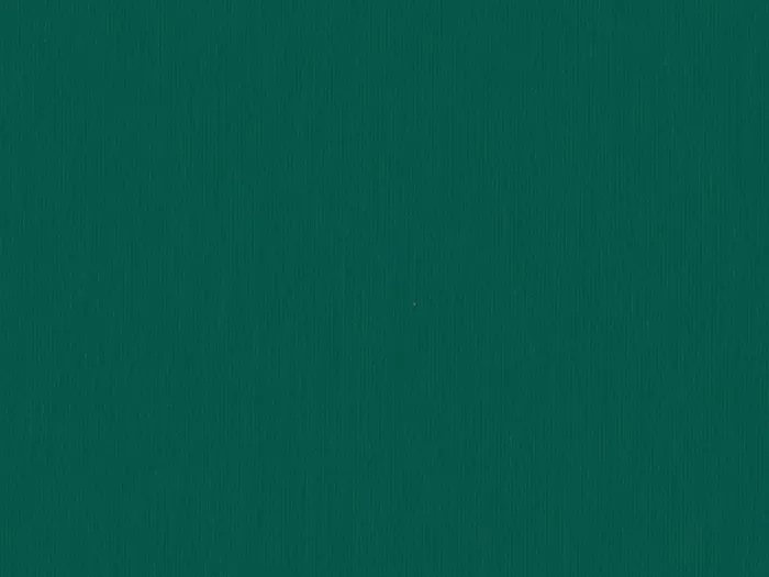 CSP819 flat plane.jpg.700x525 q80 autocrop crop smart zoom 100 1 1