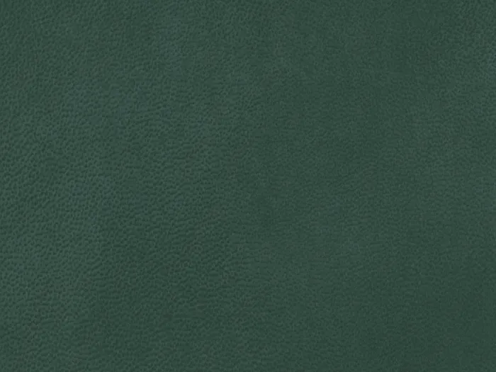 NAB8907 flat plane.jpg.700x525 q80 autocrop crop smart zoom 100 1