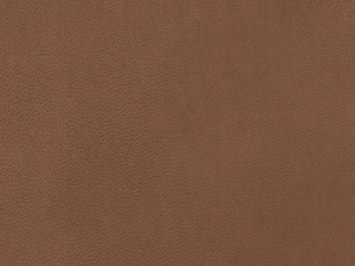 NAB8909 flat plane.jpg.700x525 q80 autocrop crop smart zoom 100 1