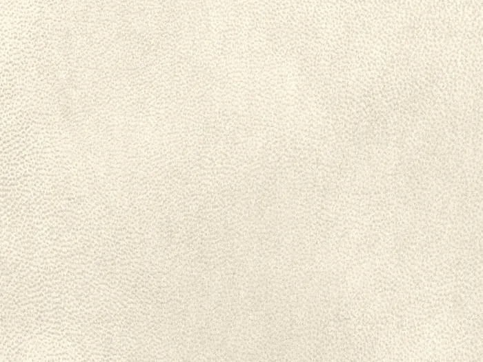 NAB8913 flat plane.jpg.700x525 q80 autocrop crop smart zoom 100 1