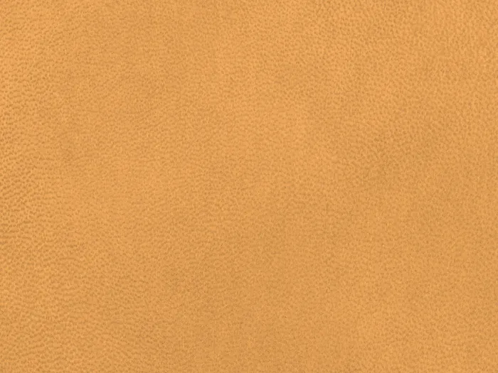 NAB8918 flat plane.jpg.700x525 q80 autocrop crop smart zoom 100 1