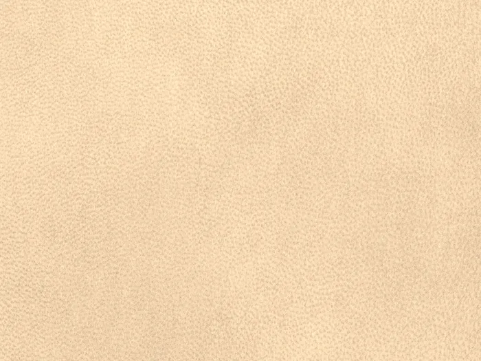 NAB8920 flat plane.jpg.700x525 q80 autocrop crop smart zoom 100 1