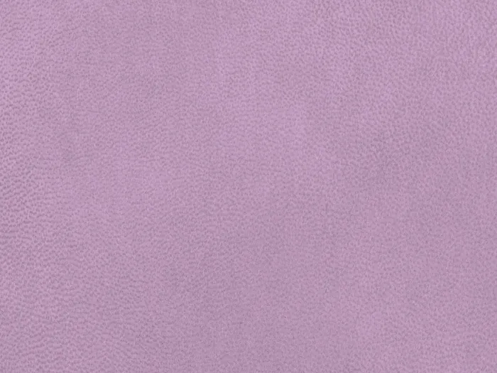 NAB8929 flat plane.jpg.700x525 q80 autocrop crop smart zoom 100 1