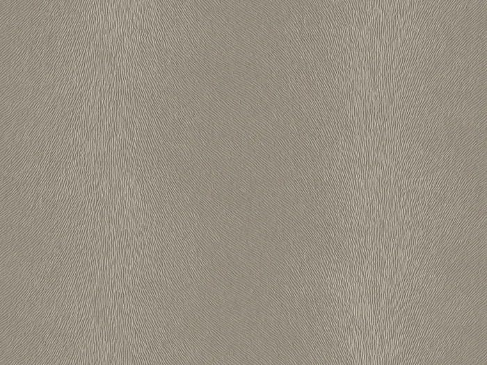 NABP003 flat plane.jpg.700x525 q80 autocrop crop smart zoom 100 1