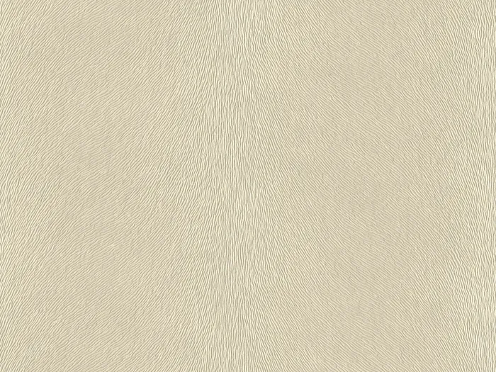 NABP006 flat plane.jpg.700x525 q80 autocrop crop smart zoom 100 1