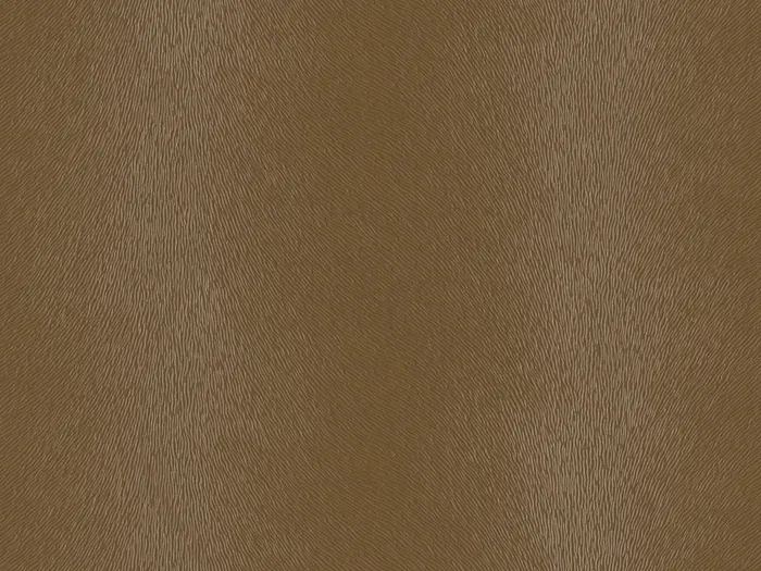 NABP007 flat plane.jpg.700x525 q80 autocrop crop smart zoom 100 1