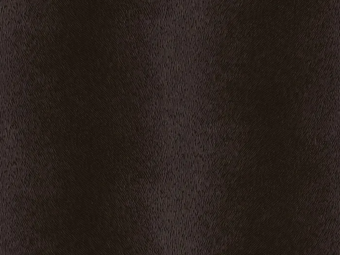 NABP008 flat plane.jpg.700x525 q80 autocrop crop smart zoom 100 1