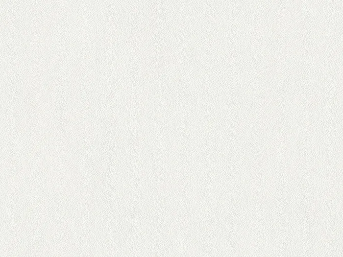 NAPR6978 flat plane.jpg.700x525 q80 autocrop crop smart zoom 100