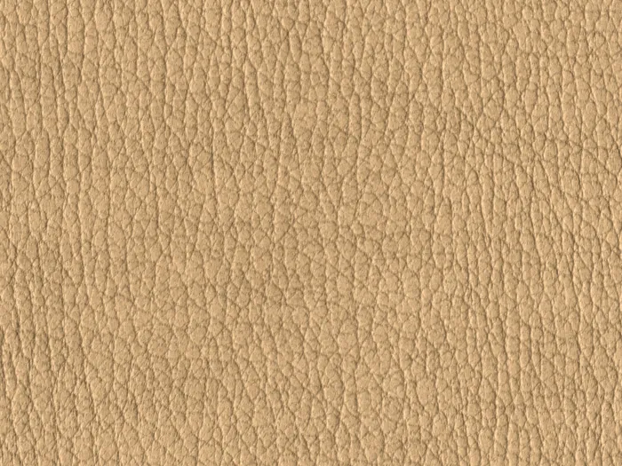 NAS1215 flat plane.jpg.700x525 q80 autocrop crop smart zoom 100 1