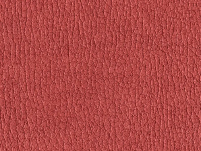 NAS1224 flat plane.jpg.700x525 q80 autocrop crop smart zoom 100 1