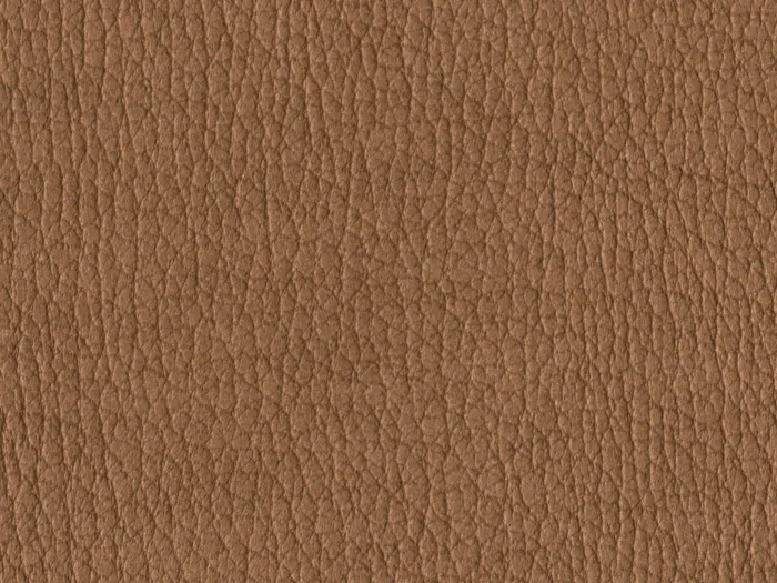 NAS1244 flat plane.jpg.700x525 q80 autocrop crop smart zoom 100 1