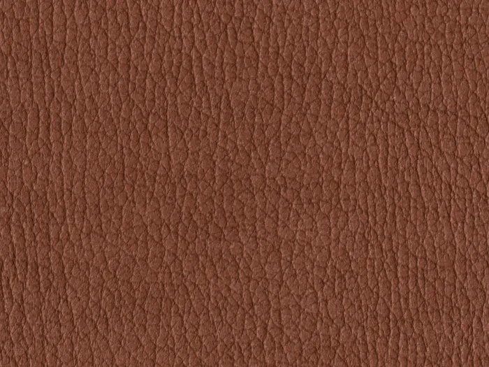 NAS1245 flat plane.jpg.700x525 q80 autocrop crop smart zoom 100 1