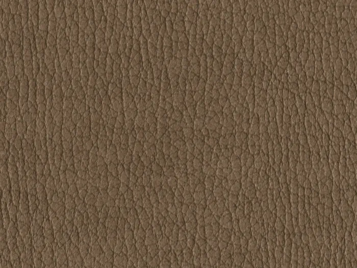 NAS1247 flat plane.jpg.700x525 q80 autocrop crop smart zoom 100 1