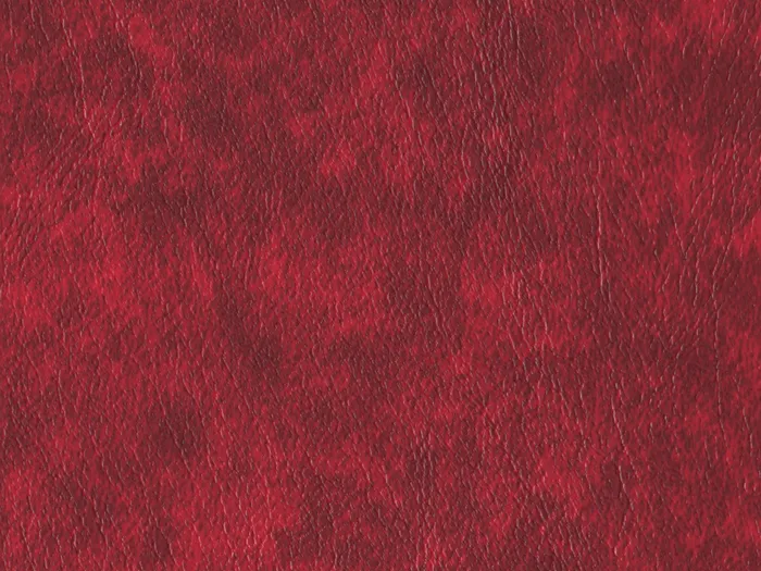 NOE12174 flat plane.jpg.700x525 q80 autocrop crop smart zoom 100