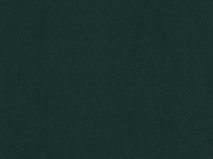 NOP11010 flat plane.jpg.700x525 q80 autocrop crop smart zoom 100 1