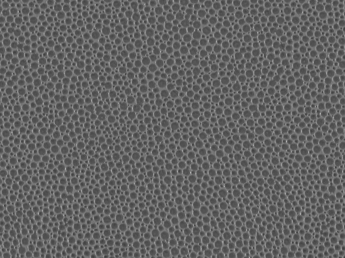 PEM9232 flat plane.jpg.700x525 q80 autocrop crop smart zoom 100 1