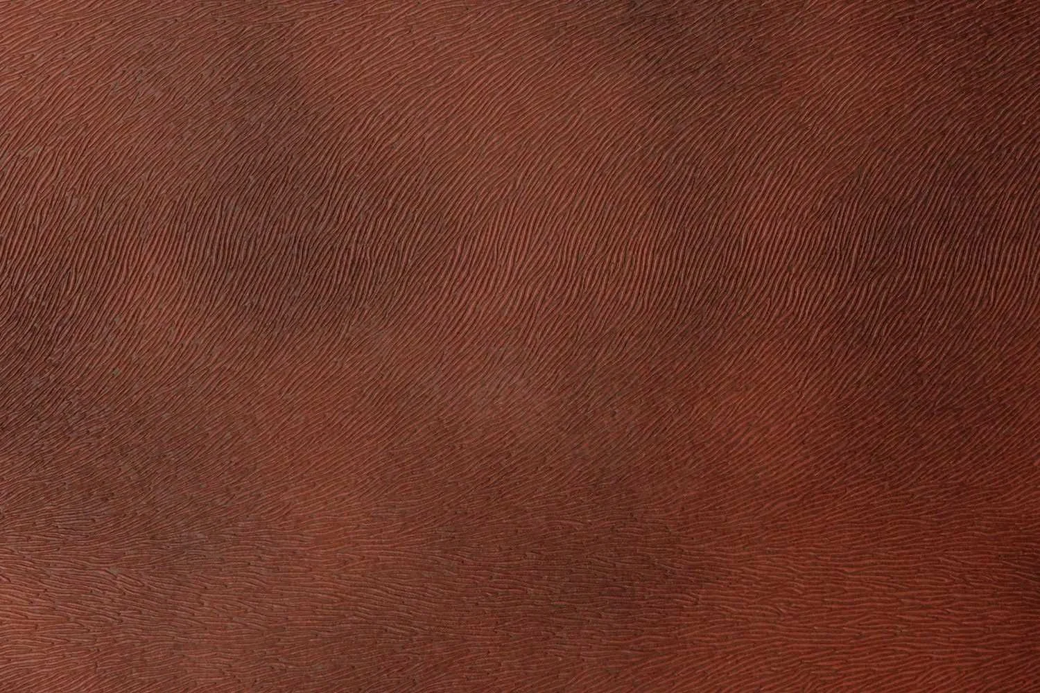 PONY-F124-BRICK-RED
