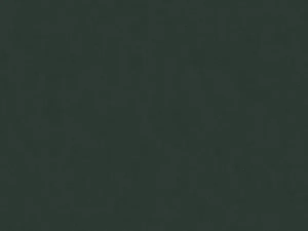 QNB138046-JUNGLE