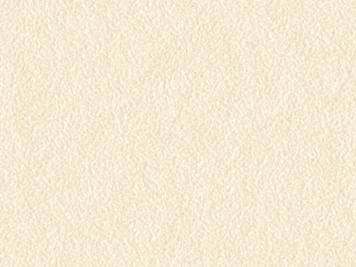 SKN299 flat plane.jpg.700x525 q80 autocrop crop smart zoom 100 1