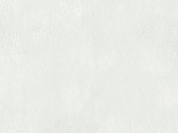 SLG4508-NEIGE