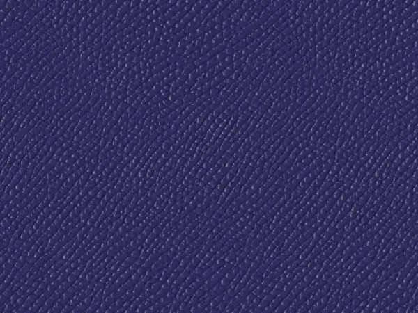 SXM6005 ULTRA VIOLET