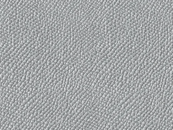 SXM6020 SILVER
