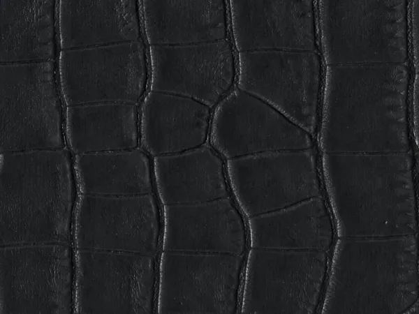 WCAI99-BLACK