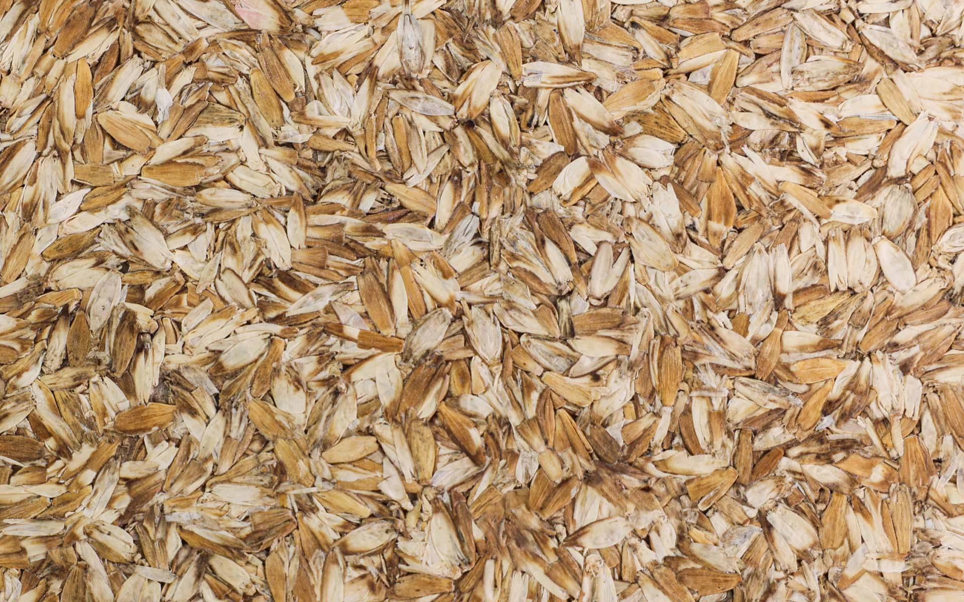 WHEAT-HUSK