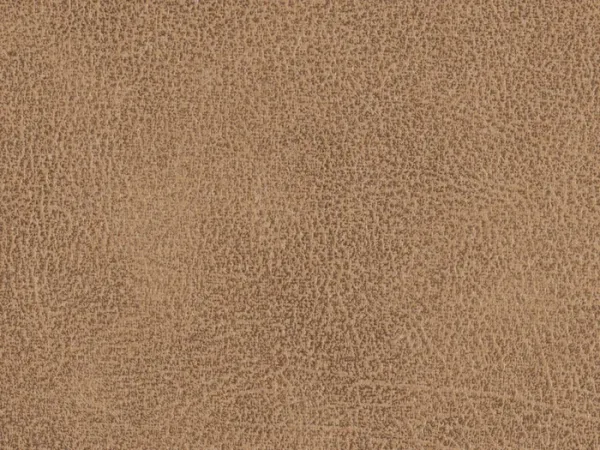 WNV3000-ALMOND