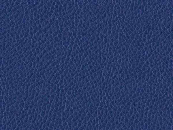 WSA51-ROYAL-BLUE