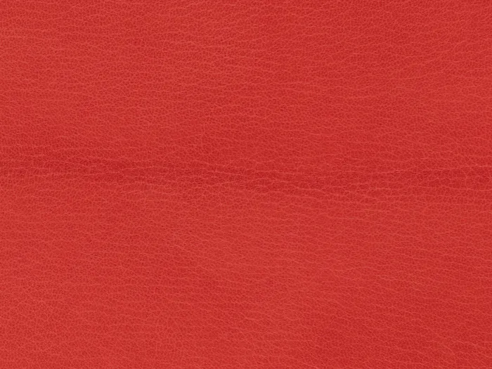 chk27120 5000 3333.jpg.700x525 q80 autocrop crop smart zoom 100 1