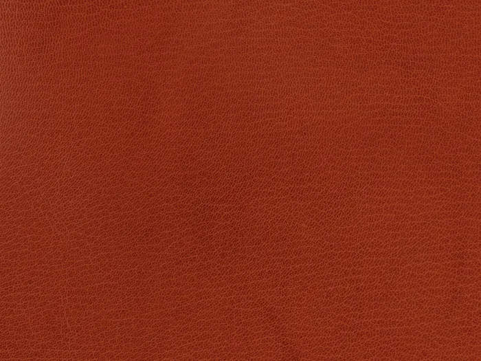 chk27122 5000 3333.jpg.700x525 q80 autocrop crop smart zoom 100 1