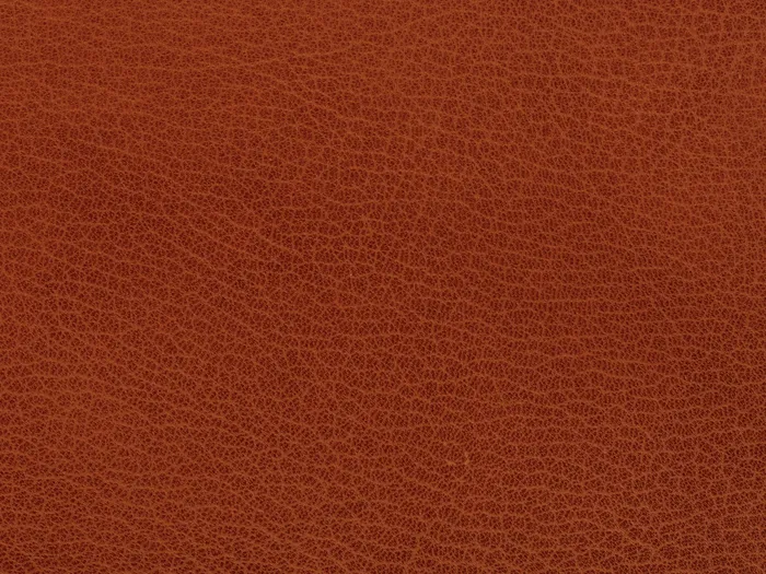 chk27123 5000 3333.jpg.700x525 q80 autocrop crop smart zoom 100 1