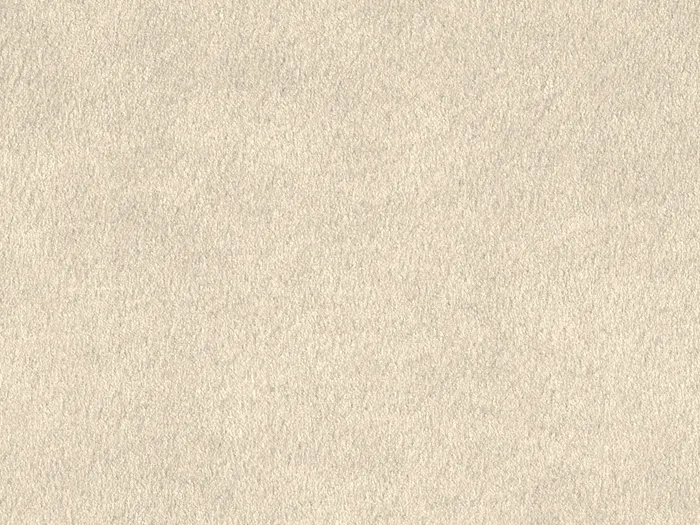 chs7712 flat plane.jpg.700x525 q80 autocrop crop smart zoom 100 1