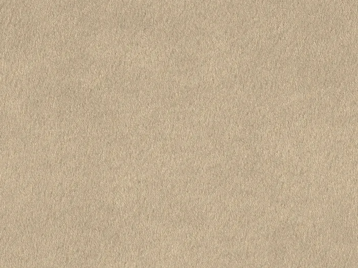 chs7718 flat plane.jpg.700x525 q80 autocrop crop smart zoom 100 1