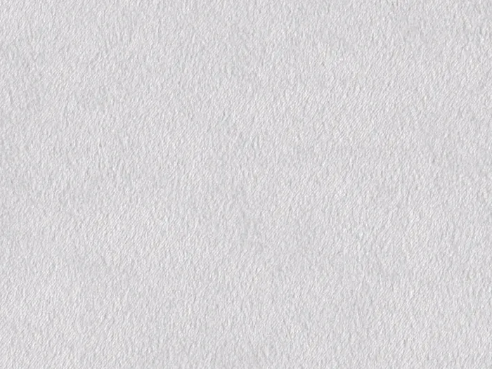 chs7719 flat plane.jpg.700x525 q80 autocrop crop smart zoom 100 1