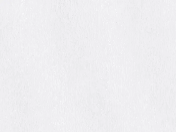 cma60094 flat plane.jpg.700x525 q80 autocrop crop smart zoom 100 1