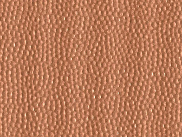 cmd64536 flat plane.jpg.700x525 q80 autocrop crop smart zoom 100 1