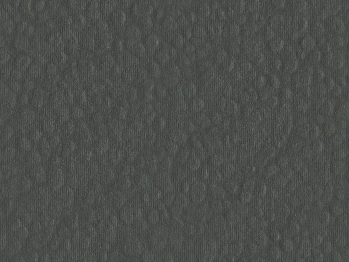 cmh46832 flat plane.jpg.700x525 q80 autocrop crop smart zoom 100 1