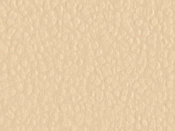 cmh46852 flat plane.jpg.700x525 q80 autocrop crop smart zoom 100 1