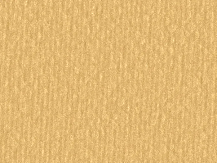 cmh46865 flat plane.jpg.700x525 q80 autocrop crop smart zoom 100 1