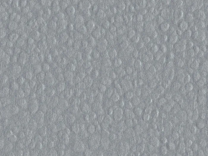 cmh47498 flat plane.jpg.700x525 q80 autocrop crop smart zoom 100 1