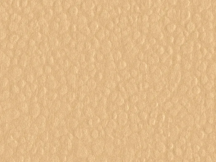 cmh47501 flat plane.jpg.700x525 q80 autocrop crop smart zoom 100 1