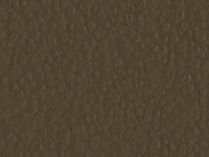 cmh64527 flat plane.jpg.700x525 q80 autocrop crop smart zoom 100 1